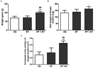 Pea Peptide Supplementation in Conjunction With Resistance Exercise Promotes Gains in Muscle Mass and Strength